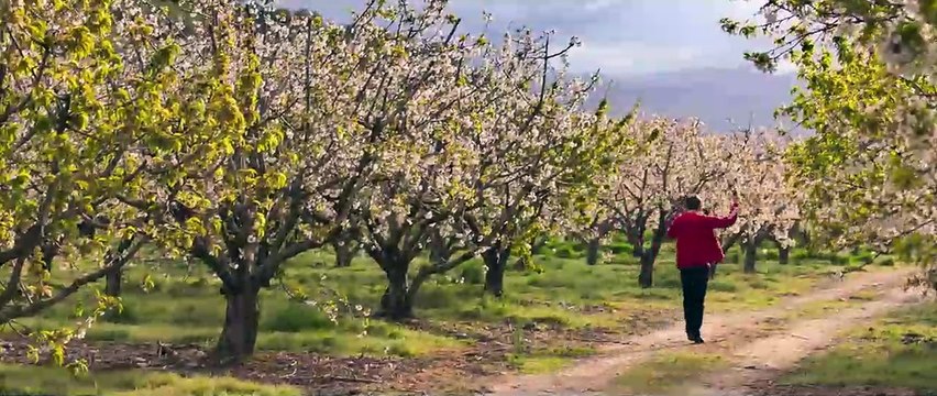 L'Adieu à la nuit Bande-annonce VF