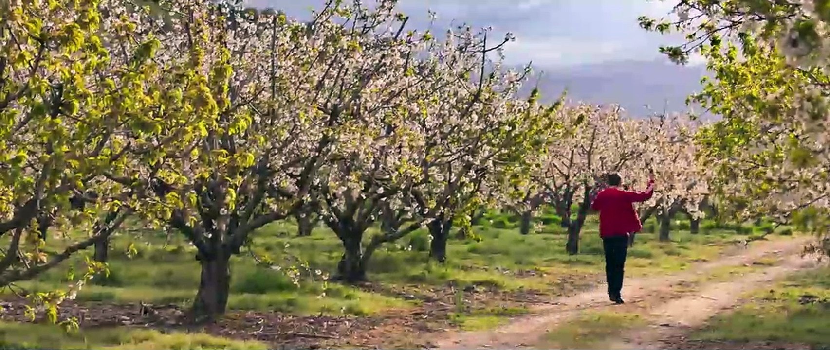 L'Adieu à la nuit Bande-annonce VF
