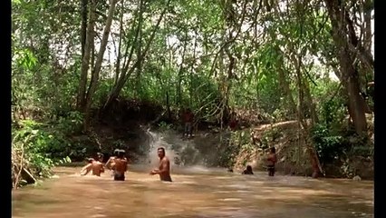 Le Chant de la forêt Bande-annonce VO