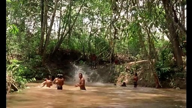 Le Chant de la forêt Bande-annonce VO