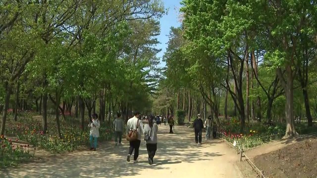 [날씨] 봄기운 완연한 부활절...내일부터 종교시설 인원 제한 해제 / YTN