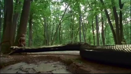 Anaconda 3: l&#039;héritier Bande-annonce VO