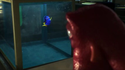 Le Monde de Dory - EXTRAIT VF "Trouble de la mémoire immédiate"