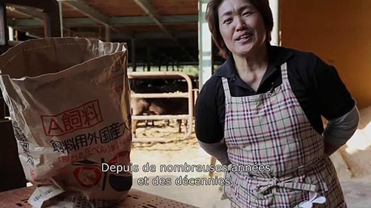 Steak (R)évolution - EXTRAIT "Japon"