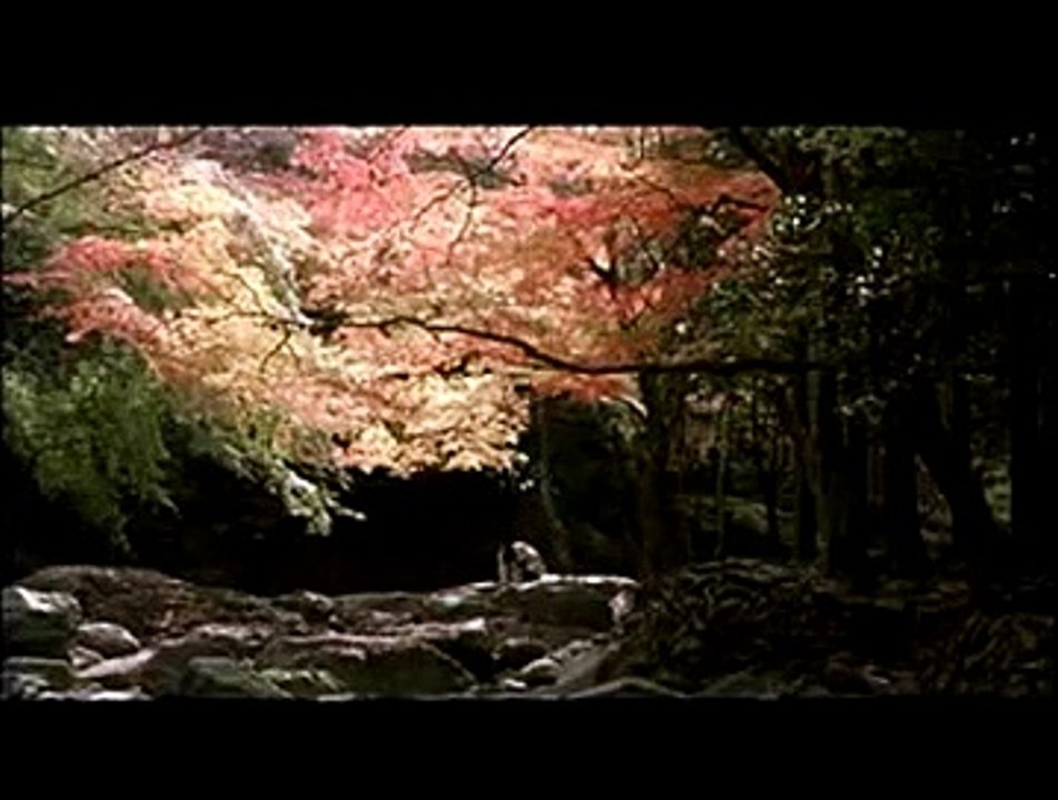 Fighter in the wind Extrait vidéo VF