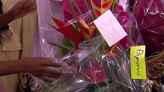 Noires Promesses - EXTRAIT Au pays des merveilles