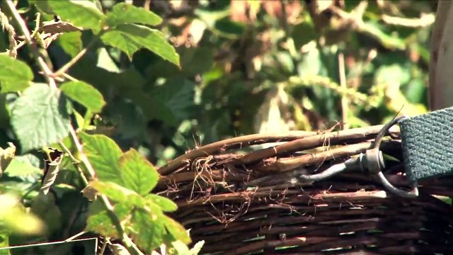 Des locaux très motivés - EXTRAIT VF Je suis préoccupé par la trace de l'homme