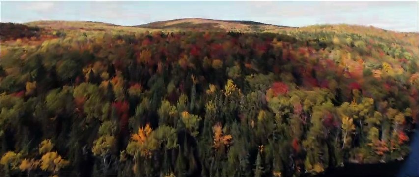 Voyez comme ils dansent Bande-annonce VF