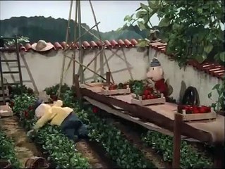 Buurman en Buurman - Aardbeien