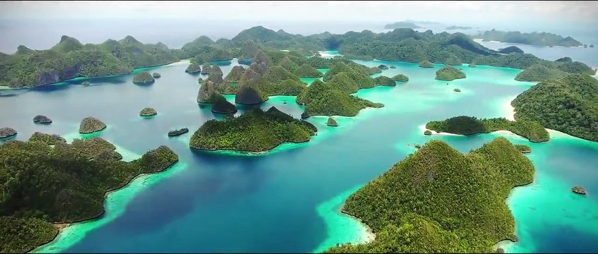 L'Ecole de la vie, une génération pour tout changer Bande-annonce VF