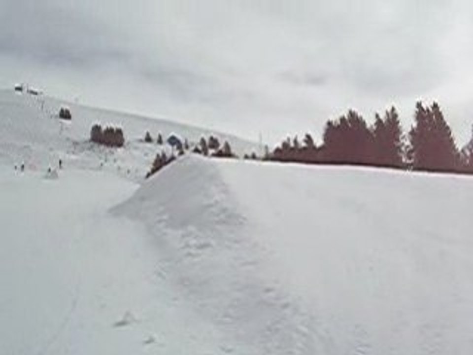 Freestyle