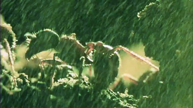 Phase IV - Bande-annonce