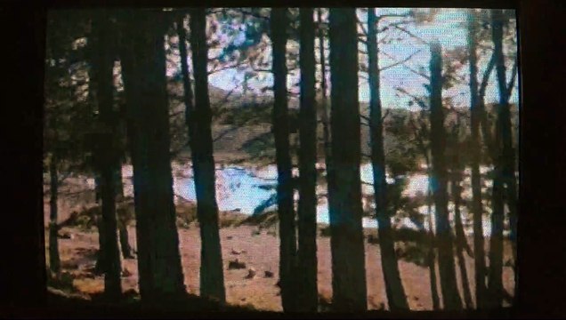 Spectre: Sanity, Madness & the Family Bande-annonce VF