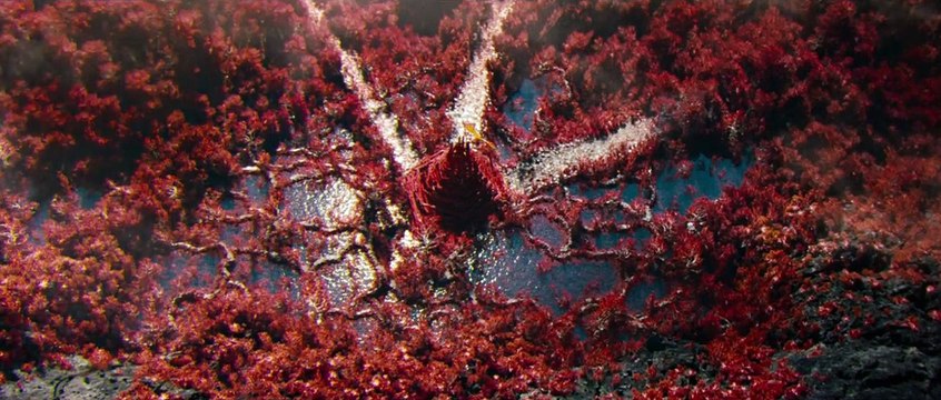 Star Trek Into Darkness Teaser VO