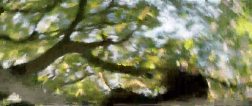 Marguerite & Julien Bande-annonce VF