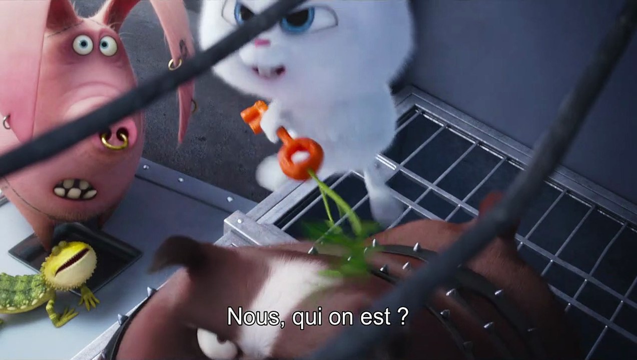 Comme des bêtes - EXTRAIT VOST "Les frères des gouttières"