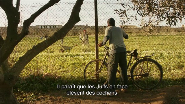Le cochon de Gaza Bande-annonce VO