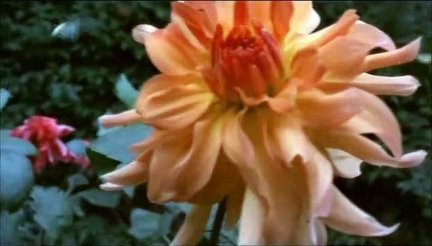 Le scaphandre et le papillon Bande-annonce VF