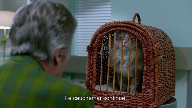 Ma vie de chat - EXTRAIT VOST Dans la peau d'un chat