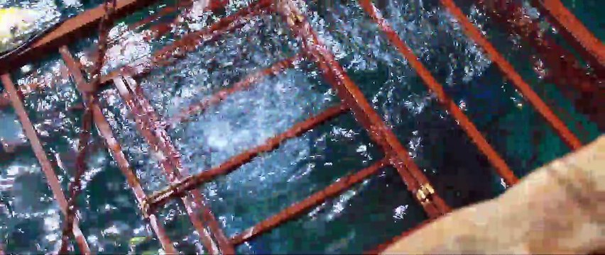 47 Meters Down EXTRAIT VO La cage