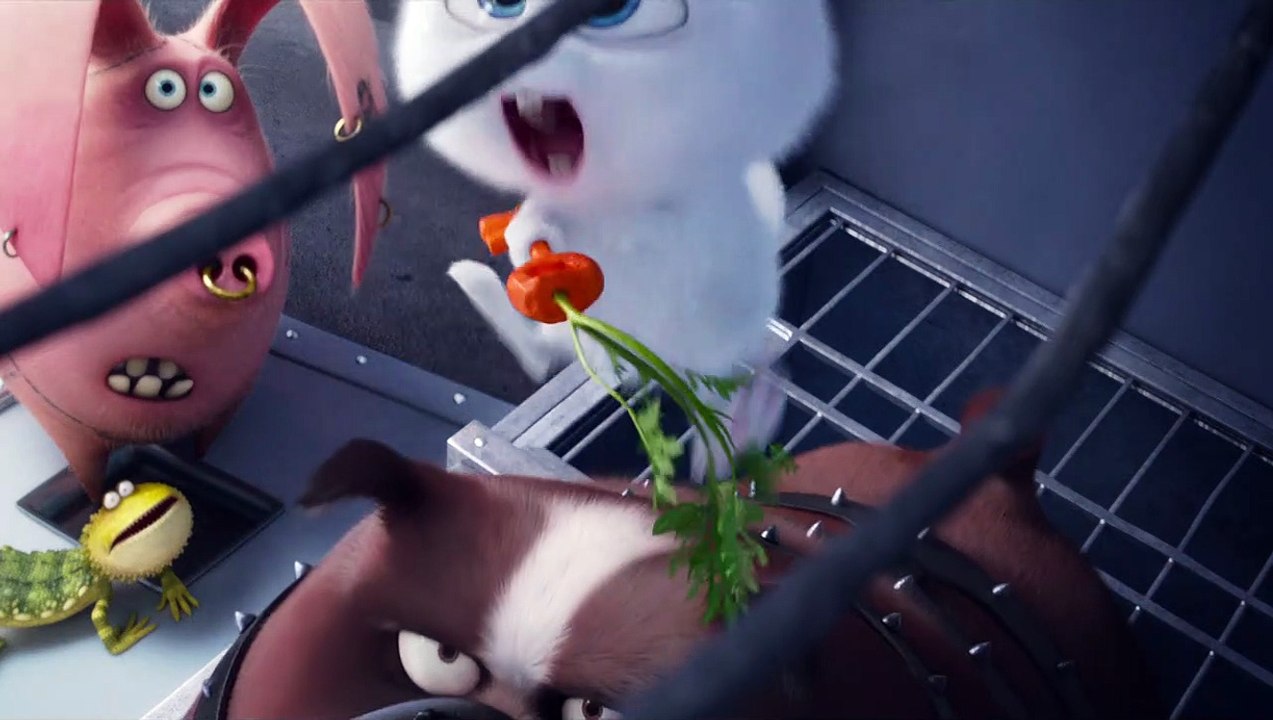 Comme des bêtes - EXTRAIT VF "Les frères des gouttières"