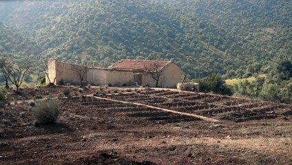 Yema Bande-annonce VO