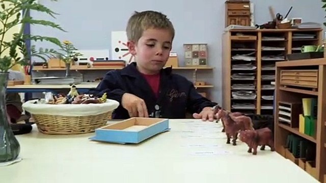 Le Maître est l'enfant EXTRAIT Le matériel