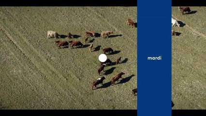 La Mort est dans le pré Teaser VF