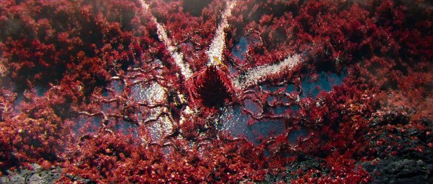 Star Trek Into Darkness Teaser VF