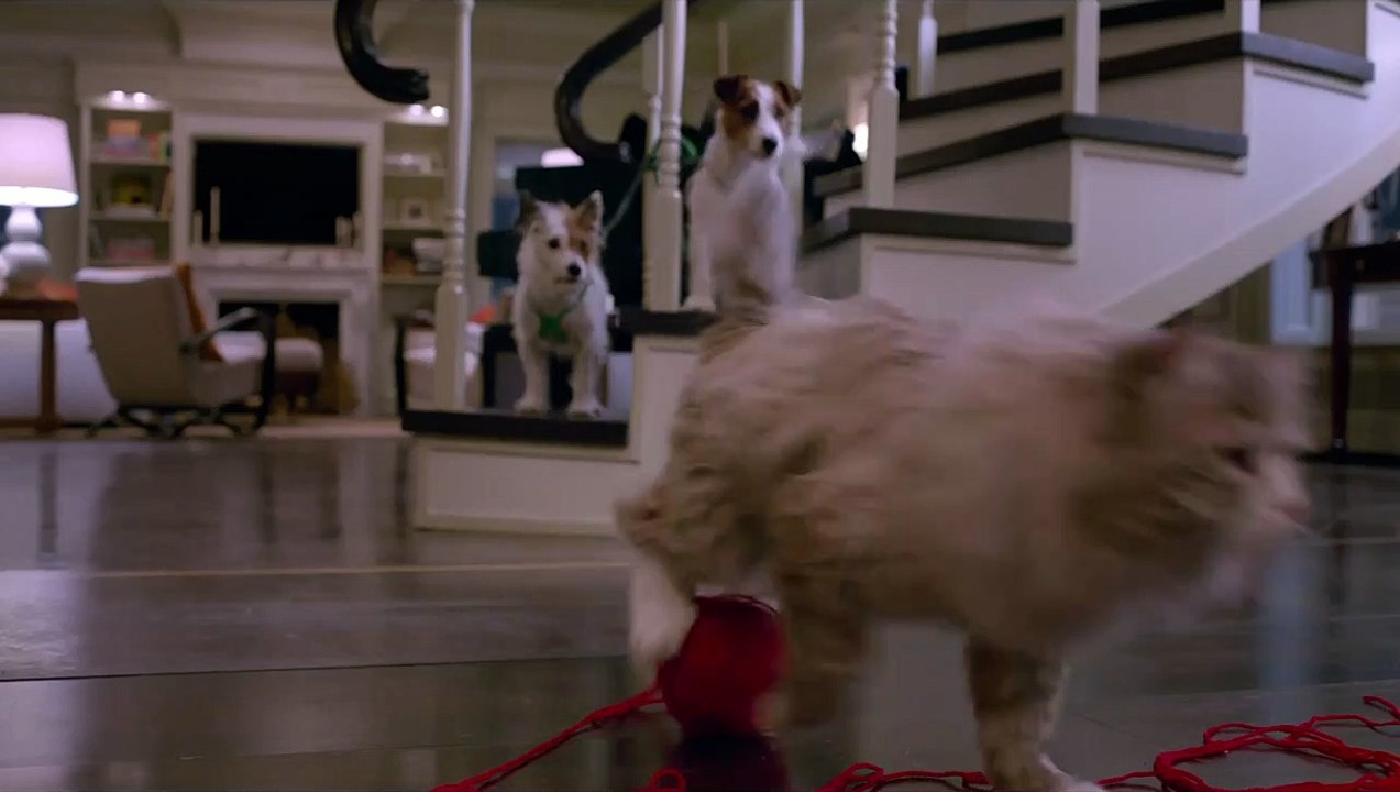 Ma vie de chat - EXTRAIT VF "Vilain matou"