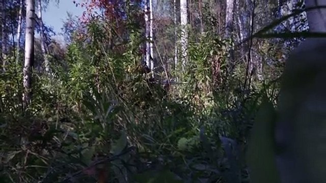 Le Fils Bande-annonce VO