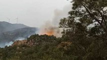 Bodrum’da orman ve makilik yangını