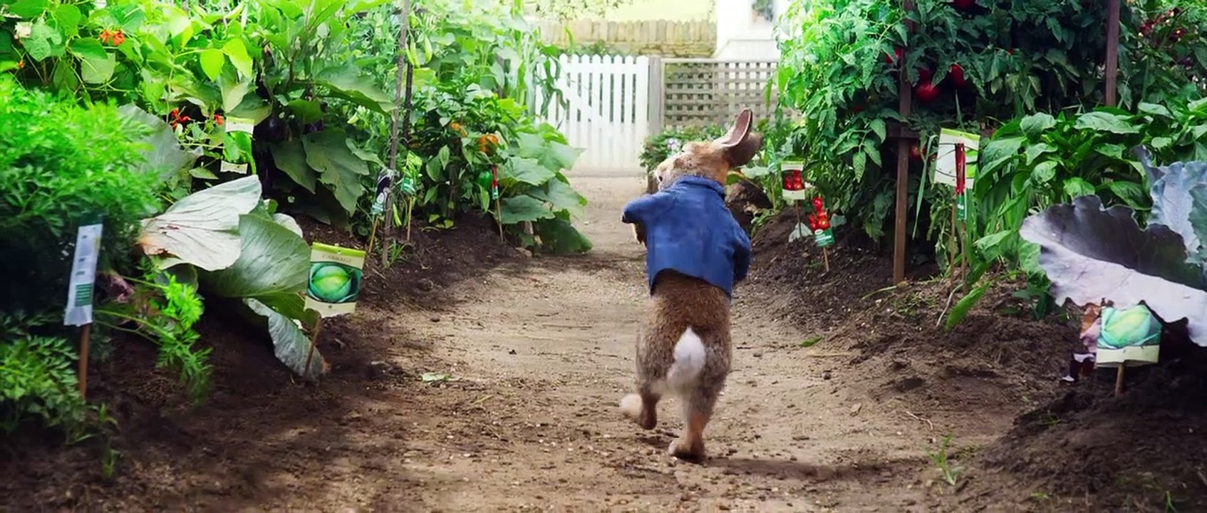 Pierre Lapin Bande-annonce (3) VF