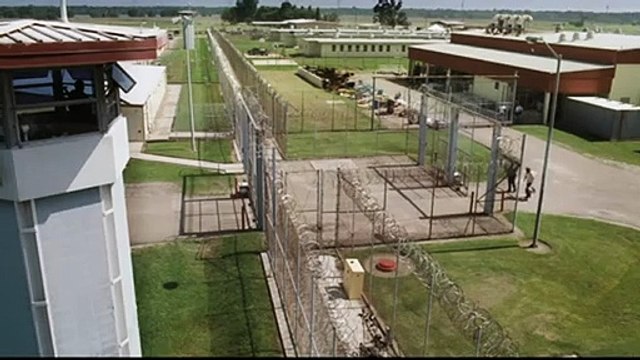 Le Chaperon Bande-annonce VO