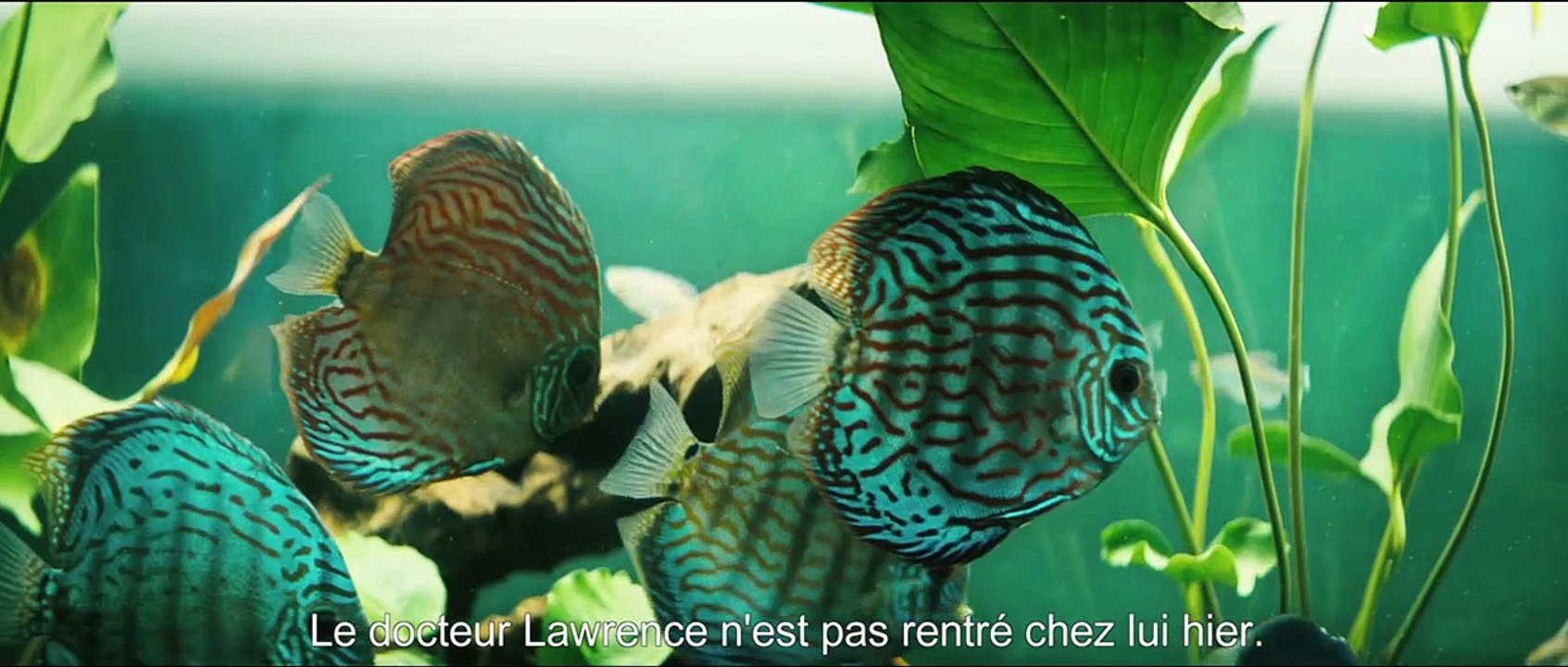 La Chanson de l'éléphant Bande-annonce VO