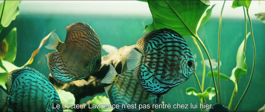 La Chanson de l'éléphant Bande-annonce VO