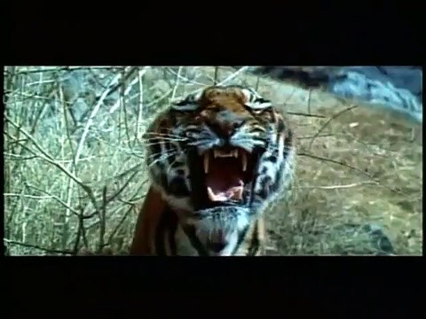 Les Evadés de la planète des singes Bande-annonce VO