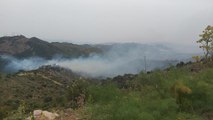 Bodrum'da ormanlık ve makilik alanda yangın çıktı