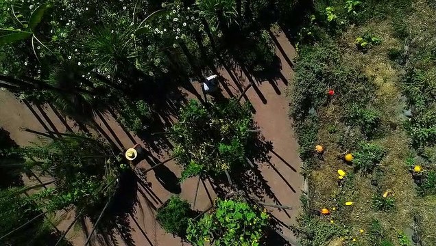 Le Jardin Des Cimes - Une Enclave En Altitude Bande-annonce VF