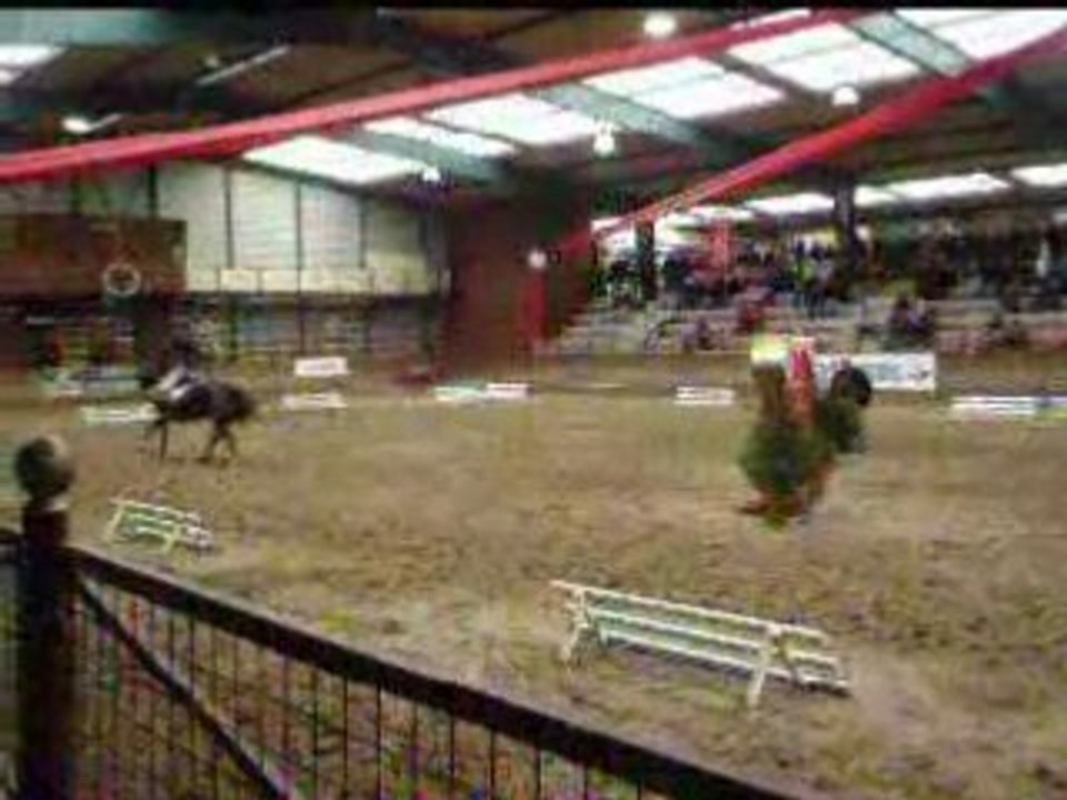 luccianno présentation étalons de ronchin