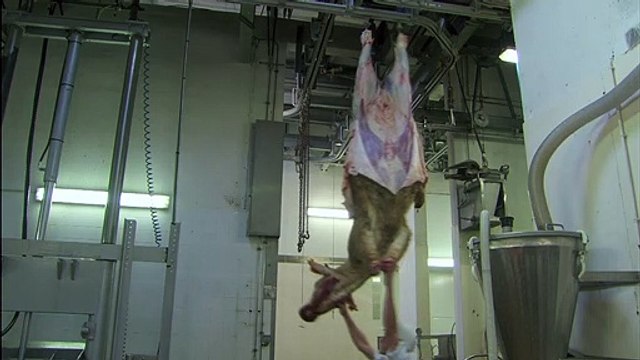 À bas bruit Bande-annonce VF