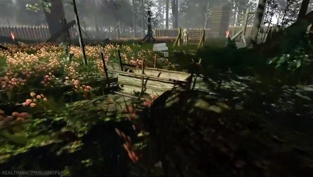 The Forest : Bande-annonce