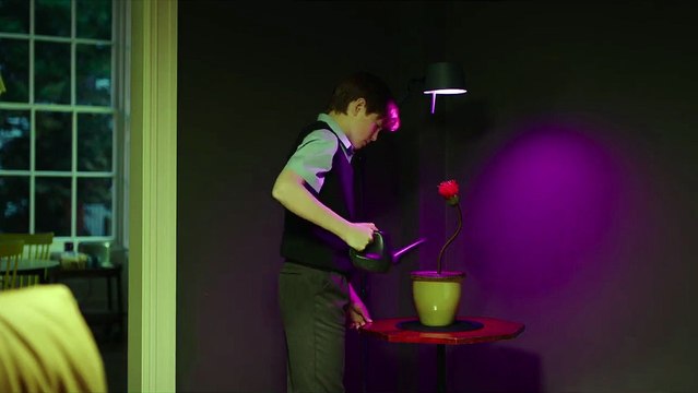 Little Joe EXTRAIT VO Une plante rouge