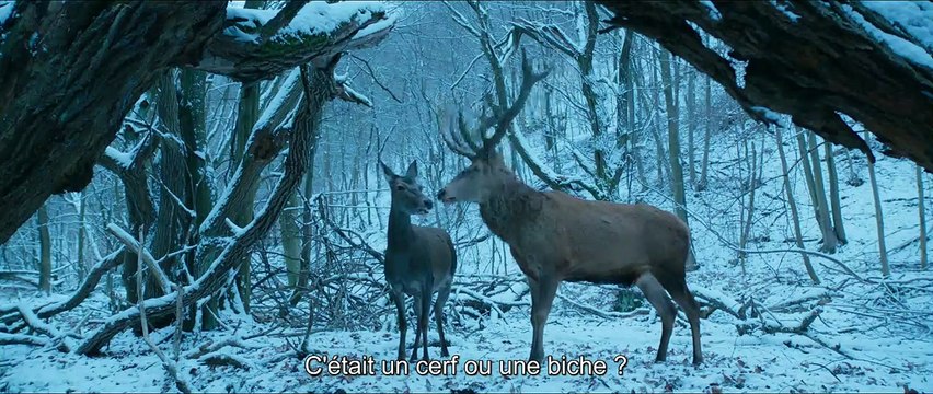 Corps et âme Bande-annonce VO