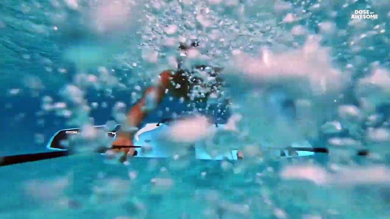 يوم الأرض وكيف احتفل به جوجل وموقع سائح والعالم أجمع