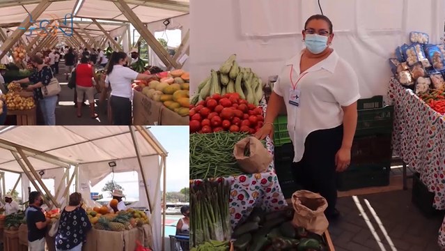 mqn-parque-centarl-de-santa-ana-se-comvierte en mercado-220422