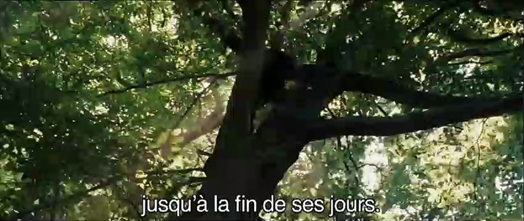 Robin des Bois Bande-annonce (2) VO