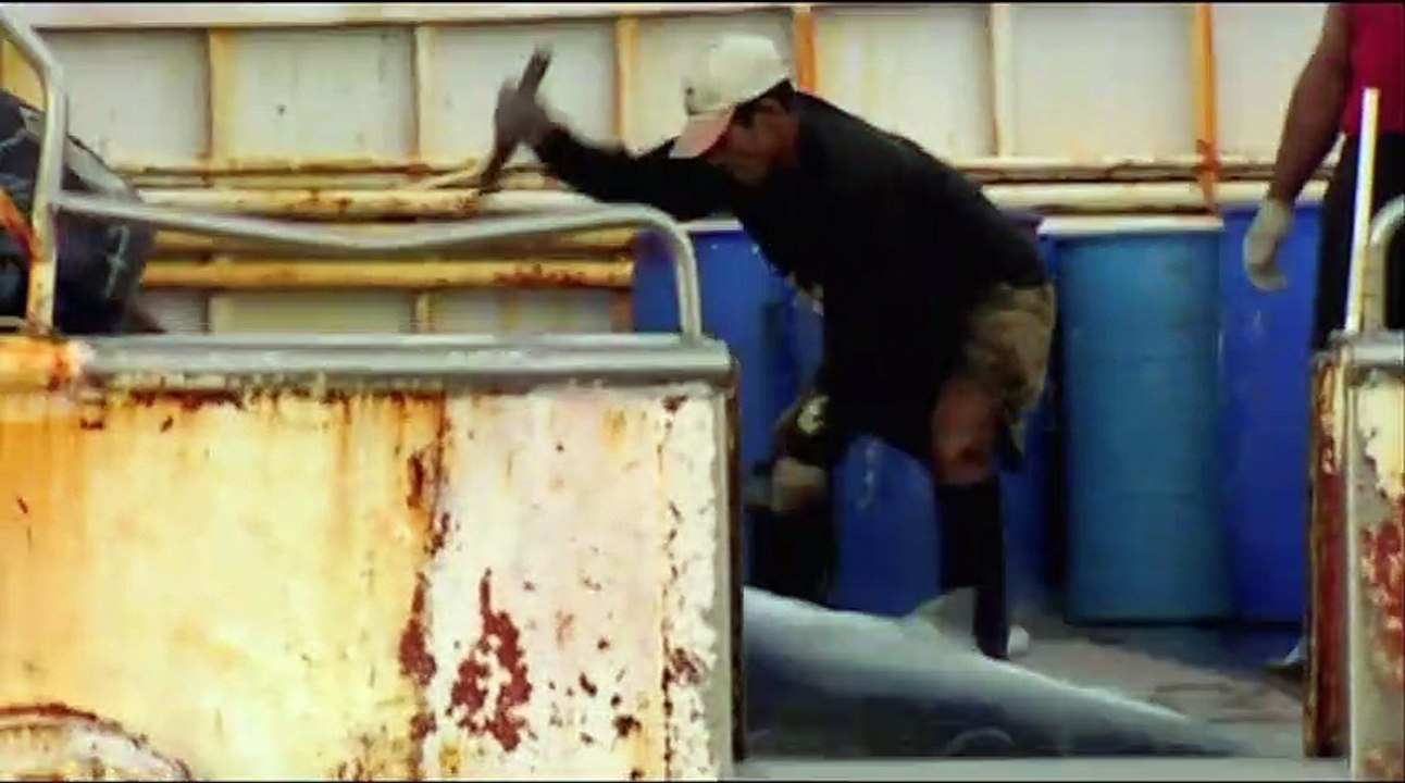 Severn, la voix de nos enfants Bande-annonce VF