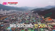 농사일 하며 시골에 사는 남편 vs 시내에 사는 엄마 TV CHOSUN 20220417 방송