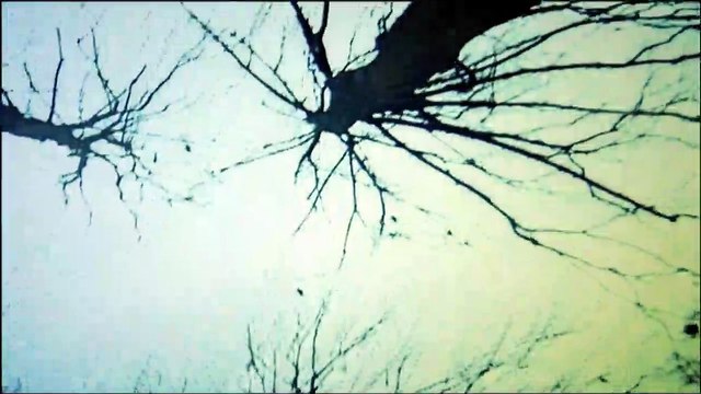 Les Derniers Survivants Teaser VF